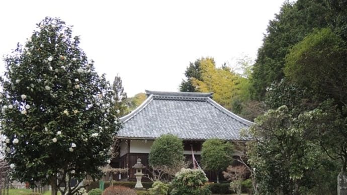 日野町鎌掛の藤の寺 正法寺から「正法寺山（後光山）」をピストンで登る！