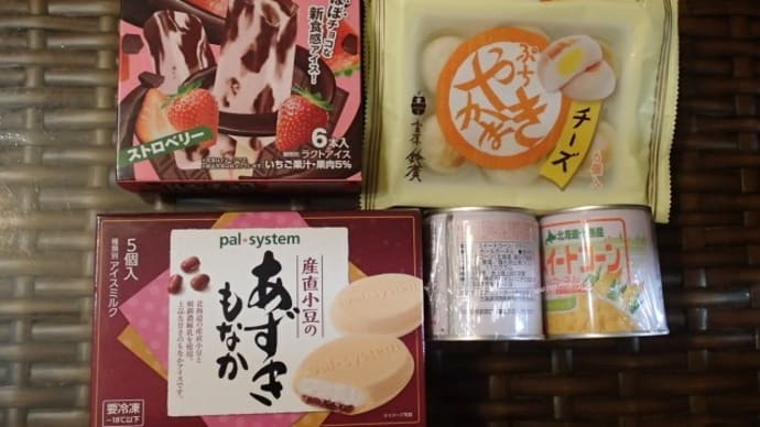 パルスシテム