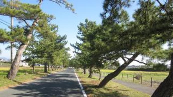 東海道を歩く (26-2：掛川宿・原川)　10km