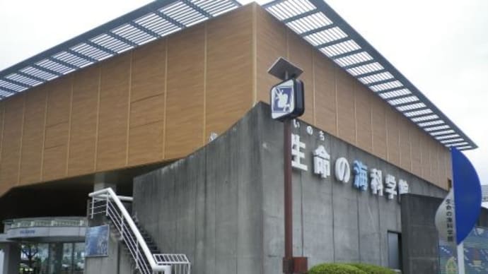 【蒲郡市・生命の海科学館】でんしゃ旅1泊⑤2023/6/9