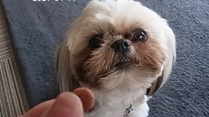 忘れてた(^_^メ)