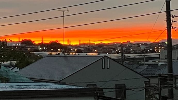 今日は晴れました~