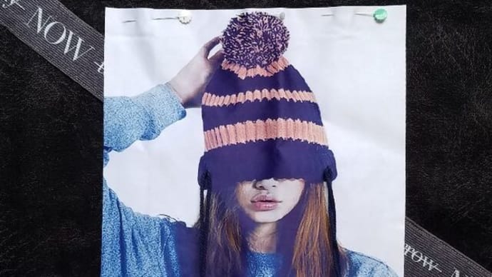 ポンポン女子もりもりBag製作開始・・・ そして、ついに、あれが見えましたよーー∠(* ̄∇ ̄)/