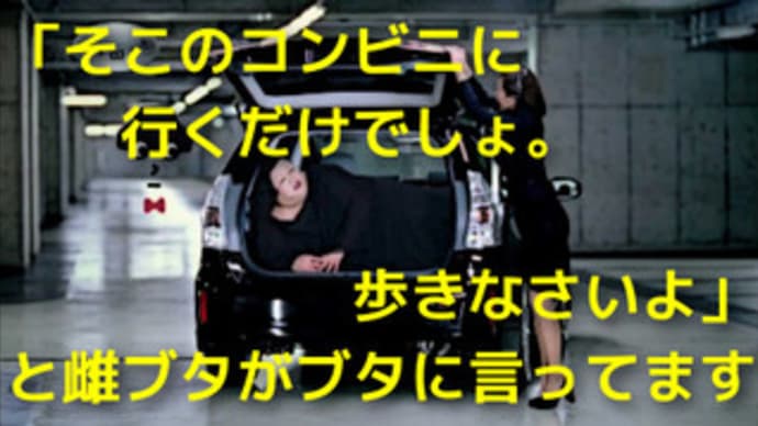 車の給油は満タンでOK!重量?お前がダイエットしろ(笑)
