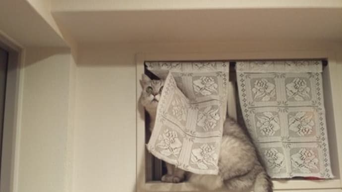 もっと奥行きを