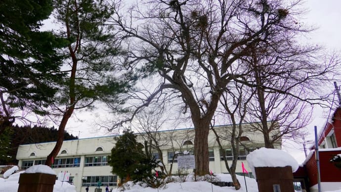 栗の巨樹・市渡小学校 ⑧ふるさと散歩