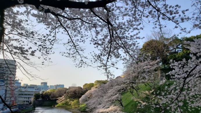偽の情報に気をつけて