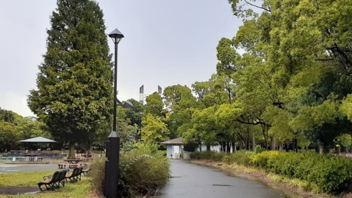夕立ち後の深川を行く。