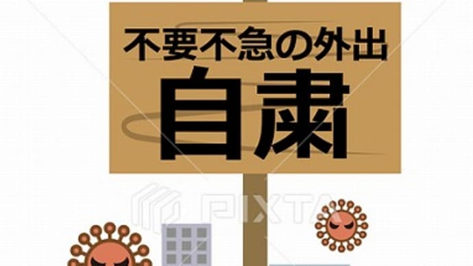 不要不急の外遊