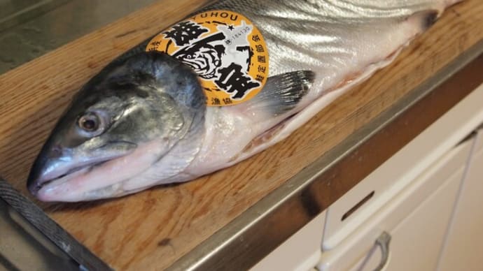 雄武漁協から「雄宝」の新巻鮭が到着、人生初の味わいはいかに？