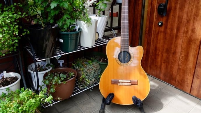 Gibson Chet Atkins CE Model/#82642505:1982年製