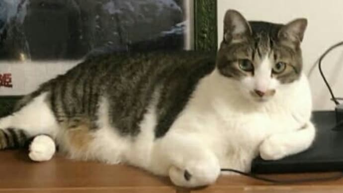 お疲れさま