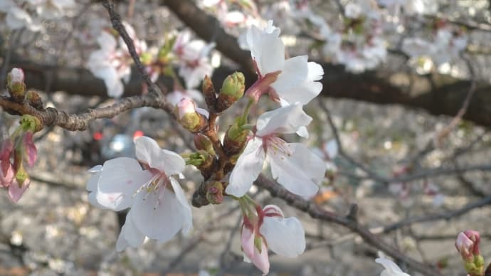 4月になって…