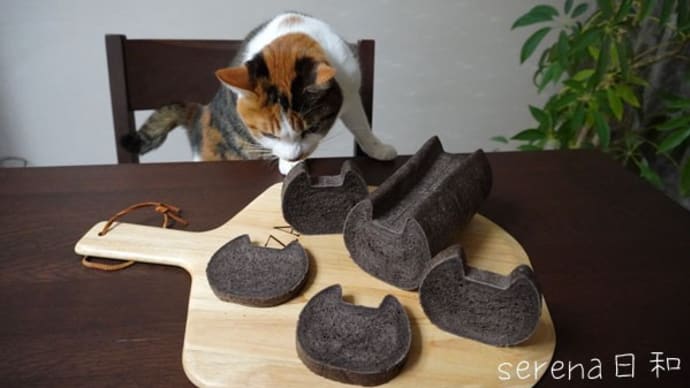 黒猫パン&ミケ猫パン