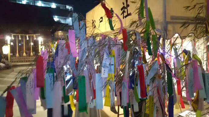 松戸神社の七夕の笹飾り
