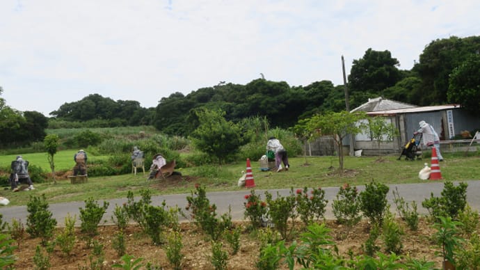 ２０１７初夏沖縄本島への旅＠アートな案山子