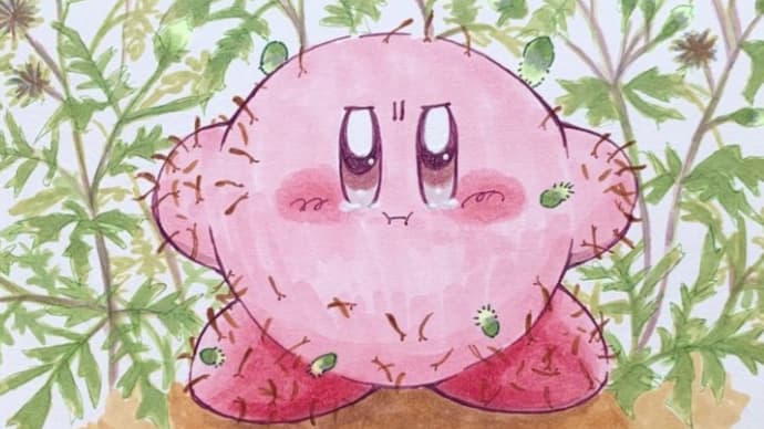 いばらの道でも、、、