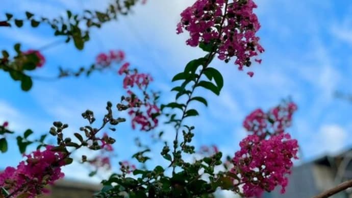 自分の「呪い」を解くための100のメモ ⑱