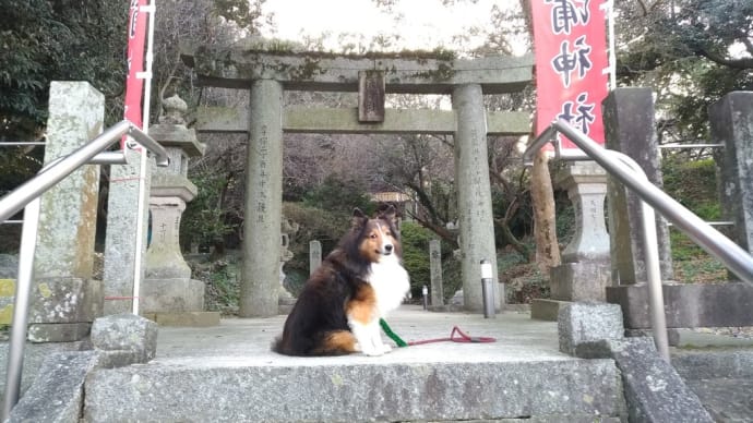 小次郎の行楽ー初詣（荻浦神社）ー