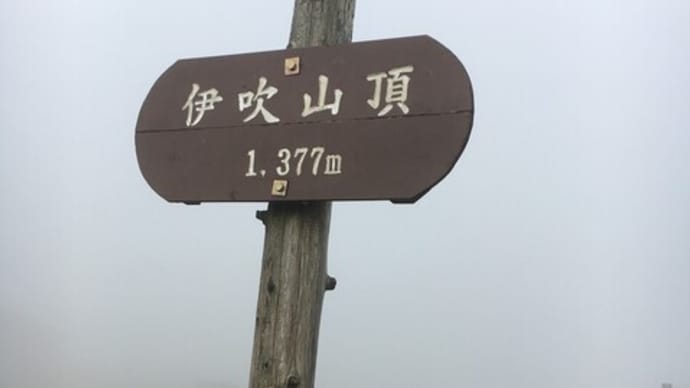 どうする家康、関ヶ原と伊吹山