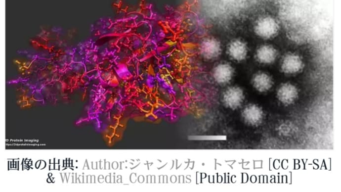 【空気感染】新型コロナウイルスがノロウイルスと似た性質を持っていて事実上の空気感染を起こすのではないか!吐瀉物などから感染、乾燥し空気に混じり!卵などで免疫力を高め防御しよう!治療薬もある!