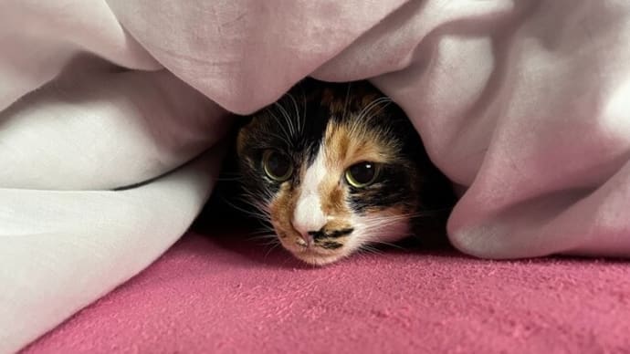 う~~~寒ぅ~~😢