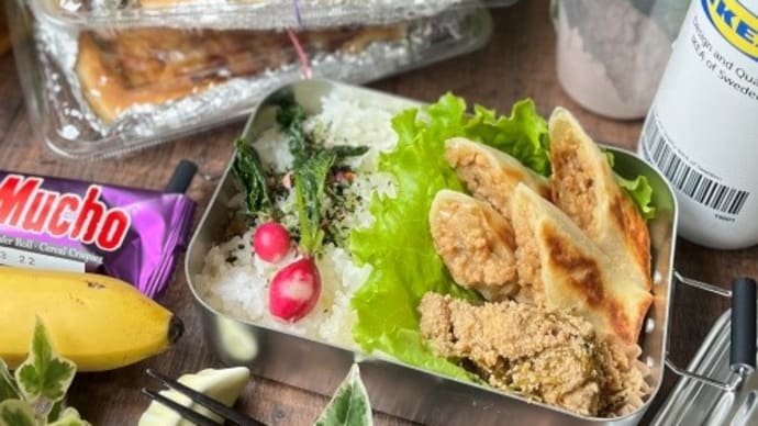 今日の2食弁当~春巻き弁当&ピザ