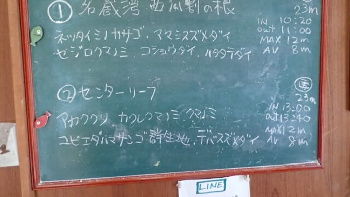 20231006ダイビングログ