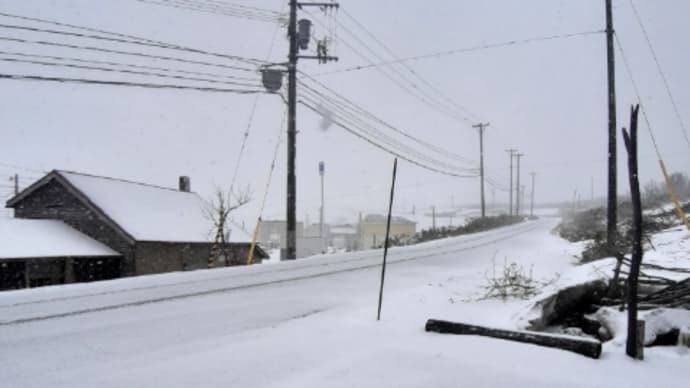 なごり雪