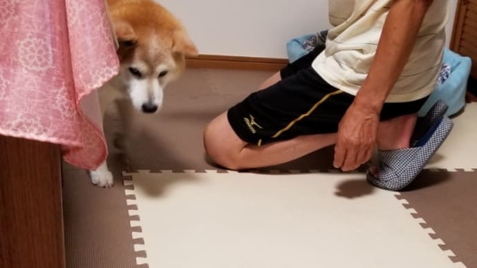 お目覚めいかが?