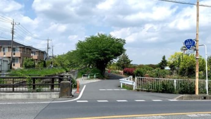 見沼氷川公園~緑のヘルシーロード