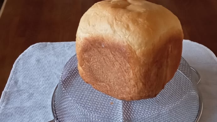 初めてパンを焼く
