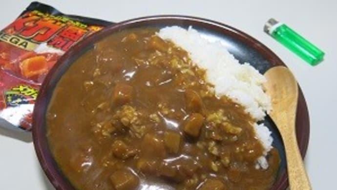 当時はチキンカツカレー500g