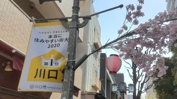 モヤさま~川口市から