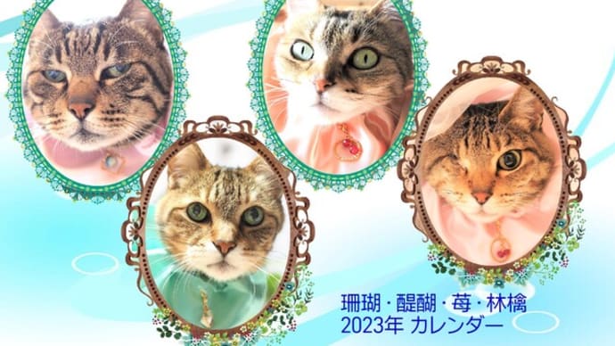 懐かしの商店街です(2)