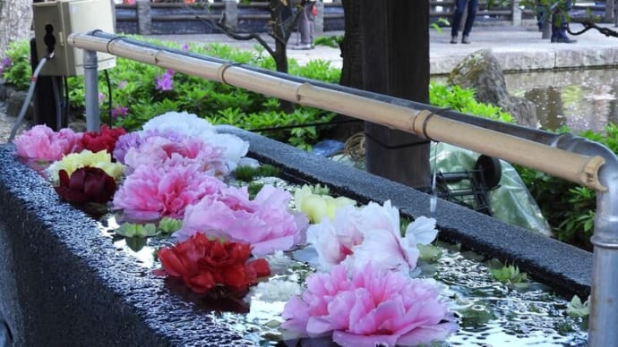 西新井大師 散策と藤の花