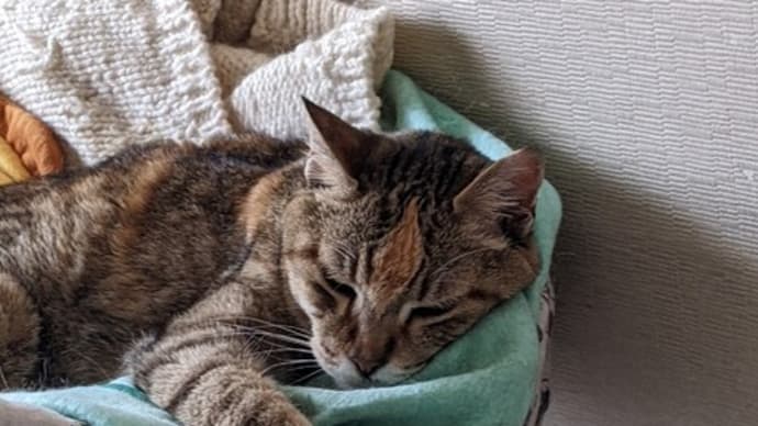 むっちゃん