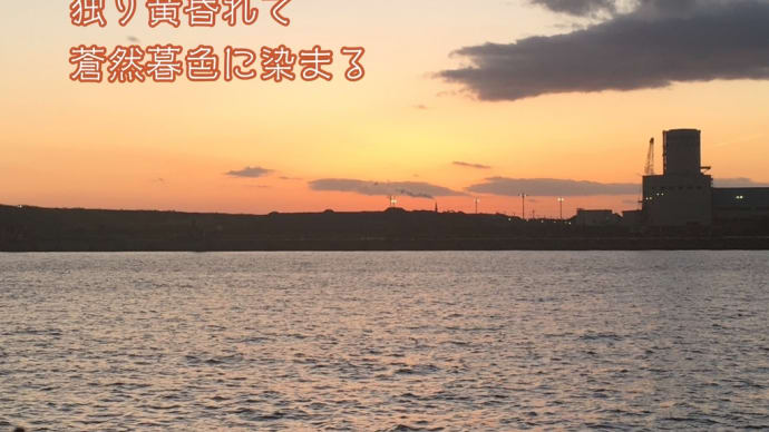 蒼然暮色 / ラグの写真詩
