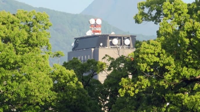 退院しました