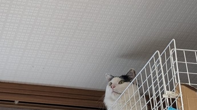 そこにいる…