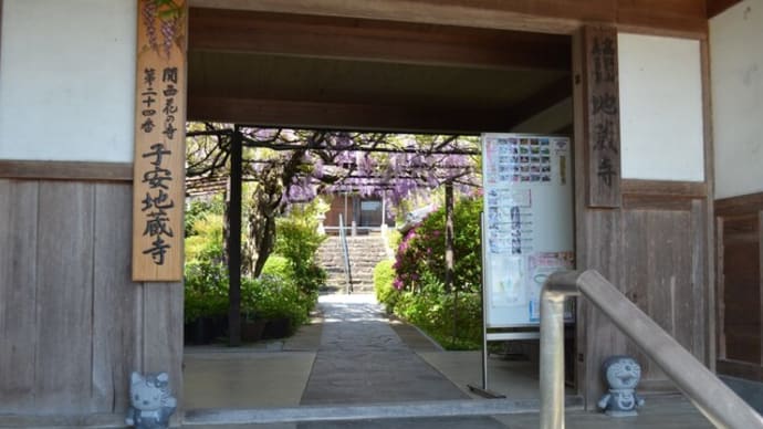子安地蔵寺の藤