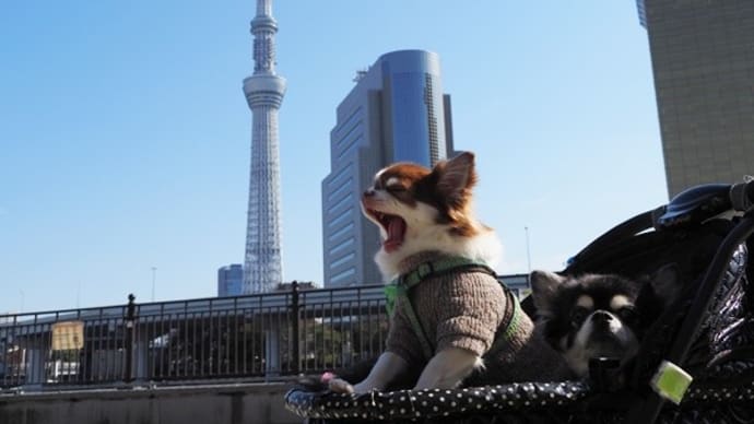 新名所を歩いたよ♪