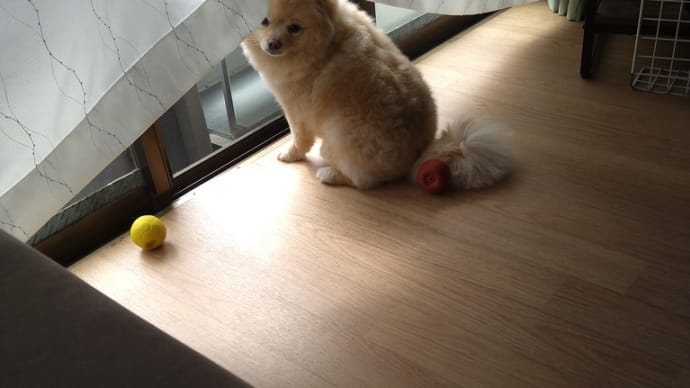 暑いですね〜