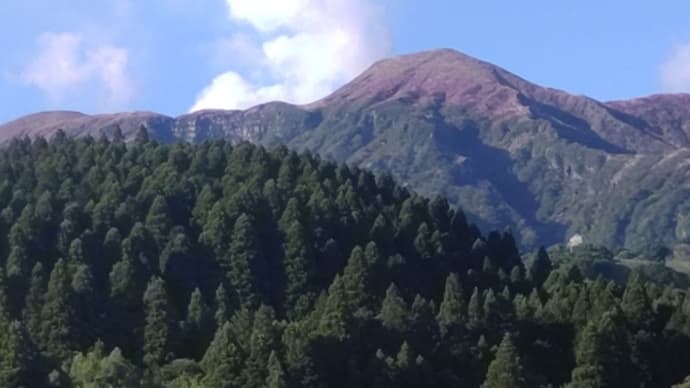 今日は3時起き