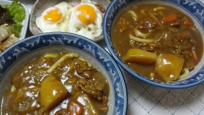 カレーライスの後はカレーうどん!