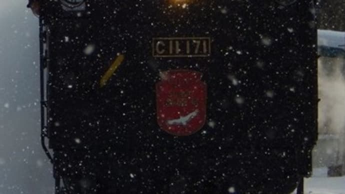 ☆彡 孫と雪国へ ☆彡