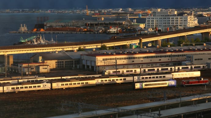 函館駅の朝1