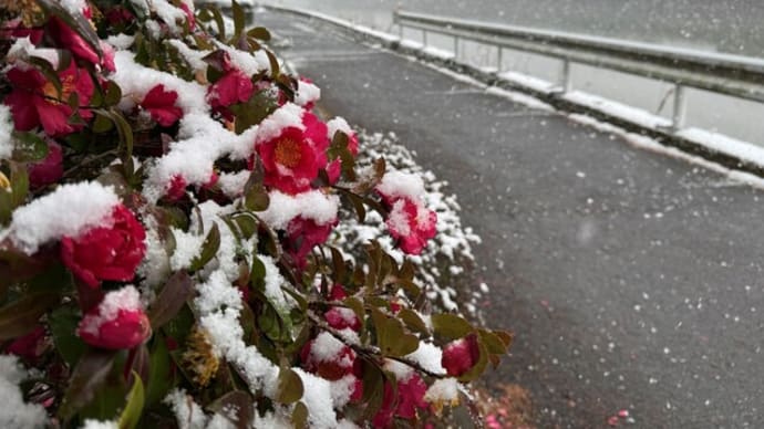雪景色佐敷編