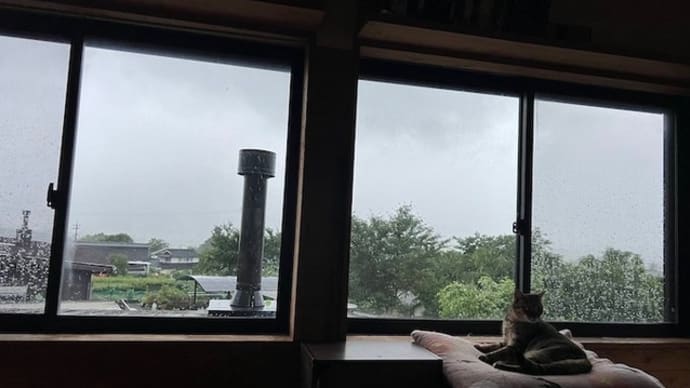 試験についてのご質問と、サワガニと大雨と