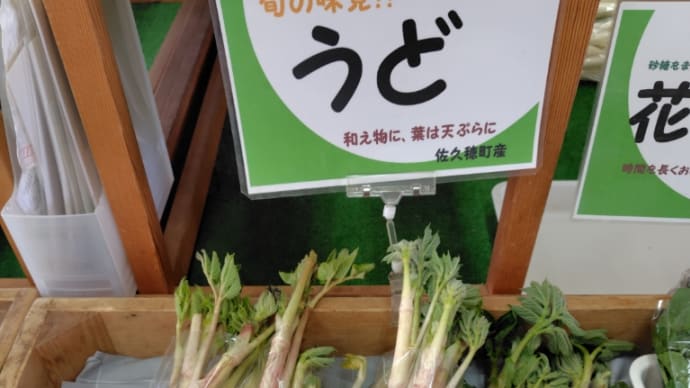春の野菜、新入荷♪(^o^)